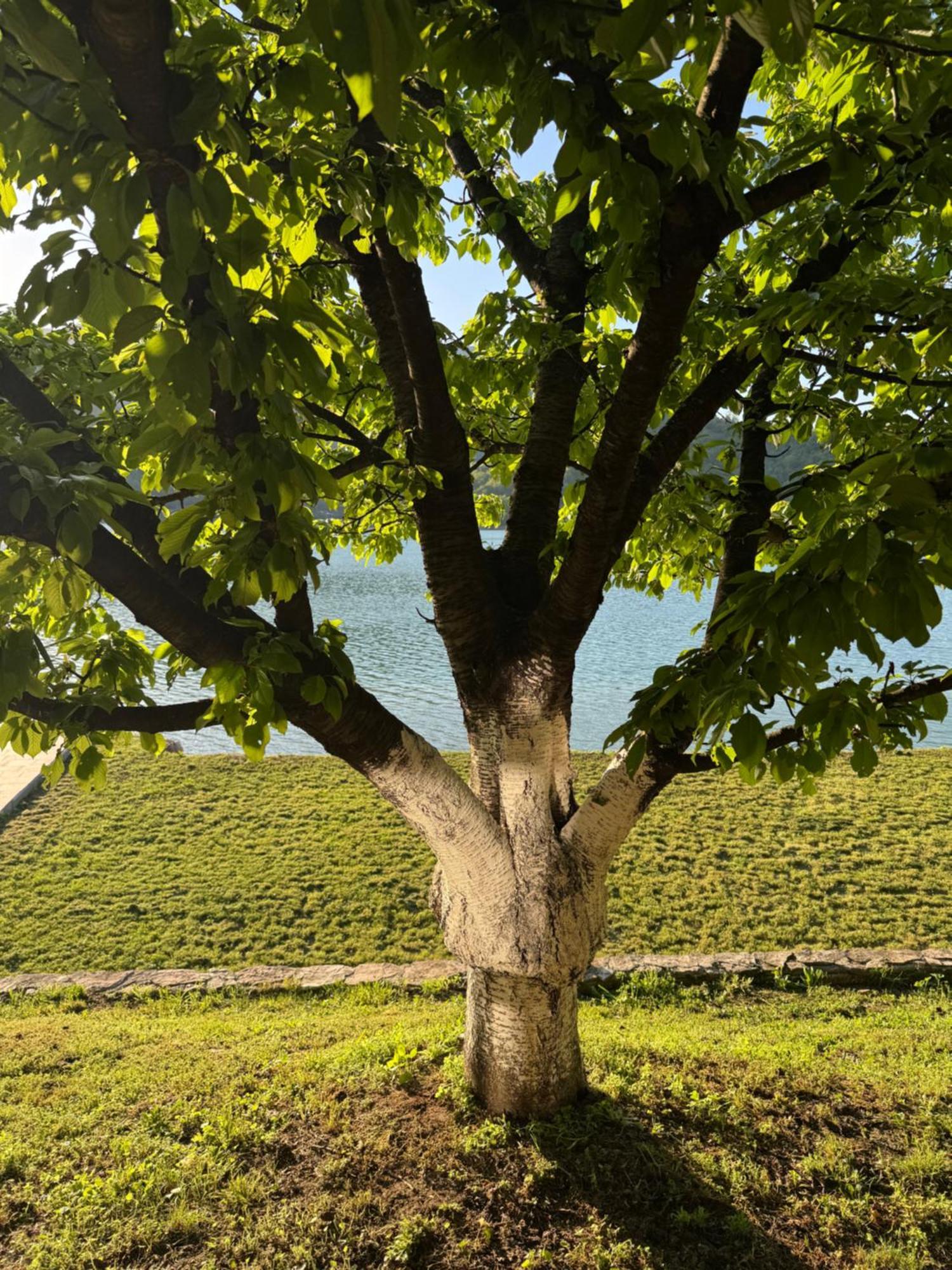 Jablanica Rustic Heaven Ostrozac Cottage Houses מראה חיצוני תמונה